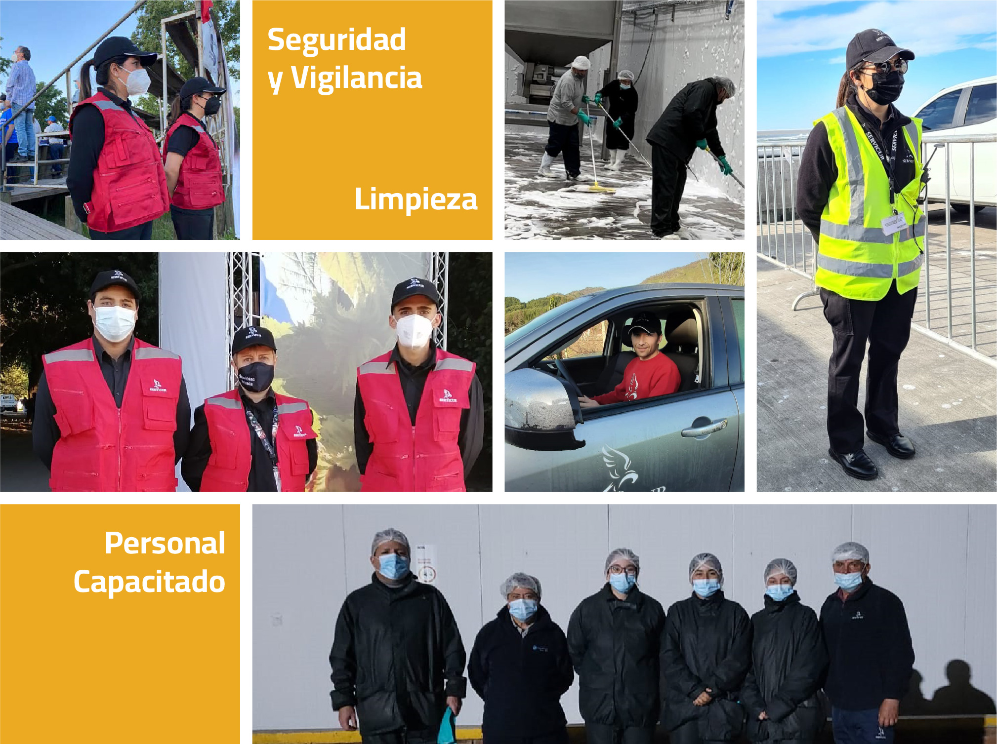 Nuestro Equipo