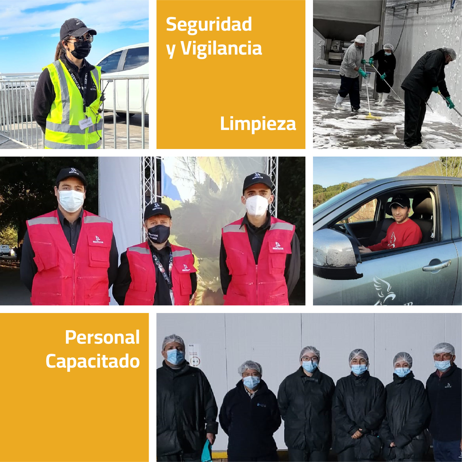 Nuestro Equipo
